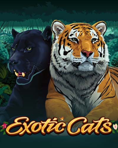 Exotic Cats