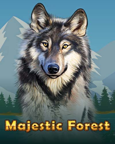 Majestic Forest