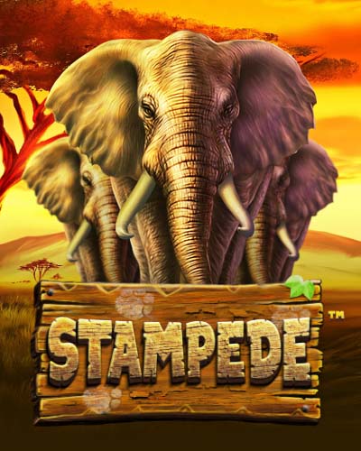 Stampede