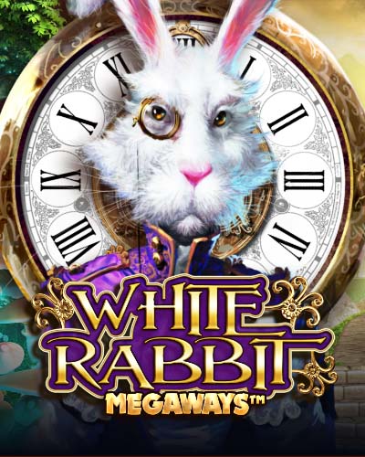 White Rabbit