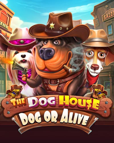 The Dog House - Dog or Alive
