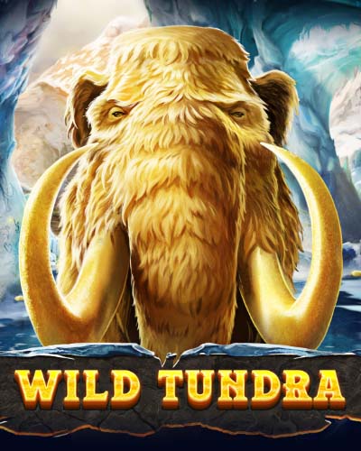 Wild Tundra